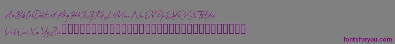 QonitaSignature-fontti – violetit fontit harmaalla taustalla