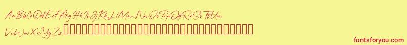 QonitaSignature Font – Red Fonts on Yellow Background