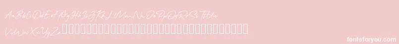 QonitaSignature Font – White Fonts on Pink Background