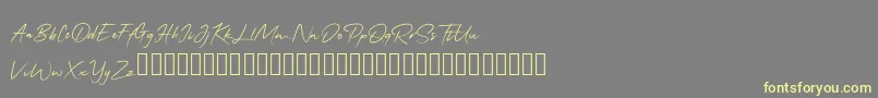 QonitaSignature-fontti – keltaiset fontit harmaalla taustalla