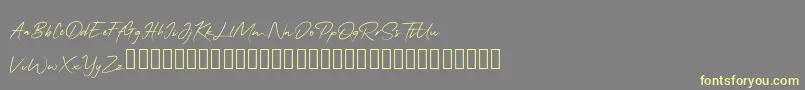 QonitaSignature-Schriftart – Gelbe Schriften auf grauem Hintergrund