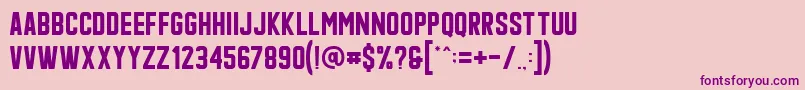 Qonquer Font – Purple Fonts on Pink Background