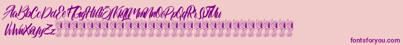 Quaint Font – Purple Fonts on Pink Background