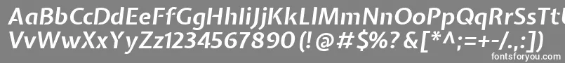 フォントExpletussansBolditalic – 灰色の背景に白い文字