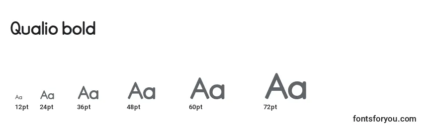 Qualio bold Font Sizes