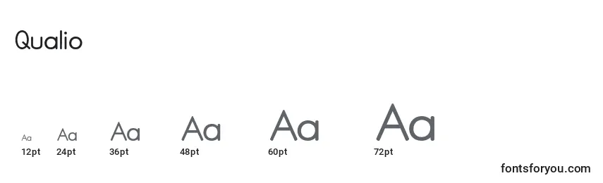 Размеры шрифта Qualio