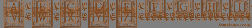 フォントQuaNauticale1 – 茶色の文字が灰色の背景にあります。