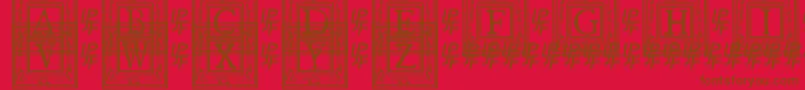 QuaNauticale1 Font – Brown Fonts on Red Background