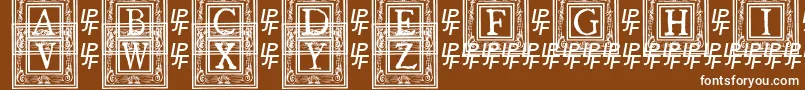 フォントQuaNauticale1 – 茶色の背景に白い文字