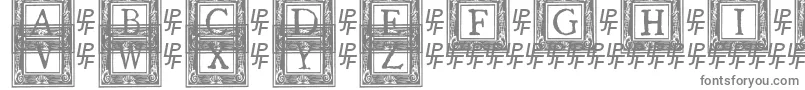 フォントQuaNauticale2 – 灰色のフォント