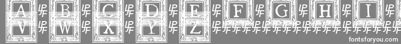 フォントQuaNauticale2 – 灰色の背景に白い文字