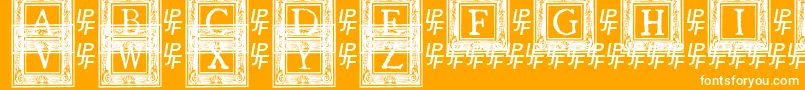 フォントQuaNauticale2 – オレンジの背景に白い文字