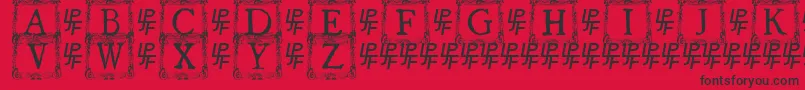 QuaNauticale3 Font – Black Fonts on Red Background