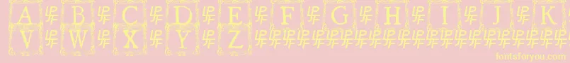 QuaNauticale3 Font – Yellow Fonts on Pink Background