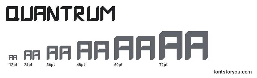 Размеры шрифта Quantrum