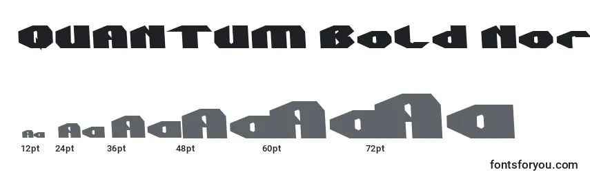 Размеры шрифта QUANTUM Bold Normal