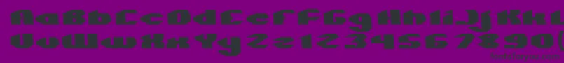 QUANTUM Normal Font – Black Fonts on Purple Background