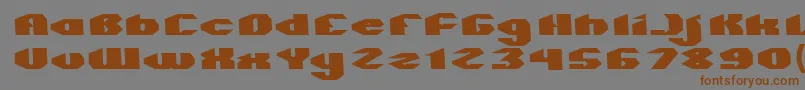QUANTUM Normal Font – Brown Fonts on Gray Background