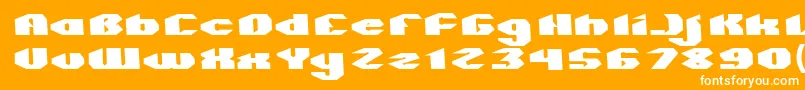 QUANTUM Normal Font – White Fonts on Orange Background