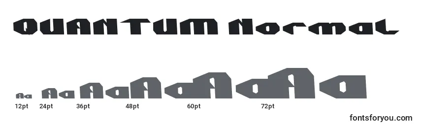 Размеры шрифта QUANTUM Normal