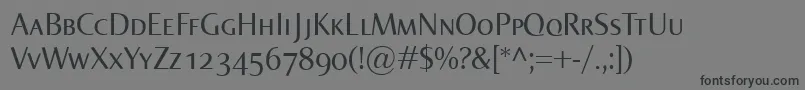 フォントNormaSmallcaps – 黒い文字の灰色の背景