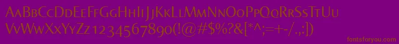 NormaSmallcaps Font – Brown Fonts on Purple Background