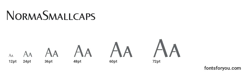 NormaSmallcaps Font Sizes