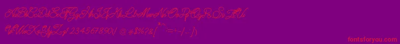 QUATTRO Font – Red Fonts on Purple Background