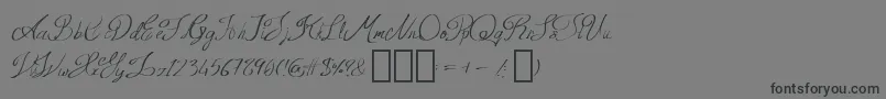 QueenAge Regular Font – Black Fonts on Gray Background