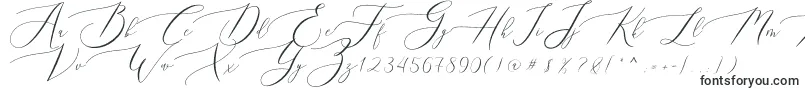 Queenland Font – Calligraphic Fonts