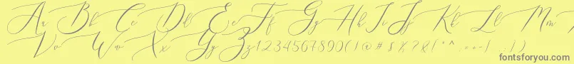 Queenland Font – Gray Fonts on Yellow Background