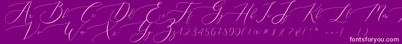 Queenland Font – Pink Fonts on Purple Background