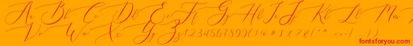 Queenland Font – Red Fonts on Orange Background