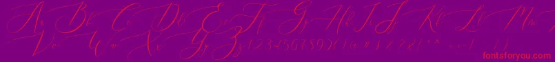 Queenland Font – Red Fonts on Purple Background