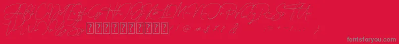 Queenstown Signature-Schriftart – Graue Schriften auf rotem Hintergrund