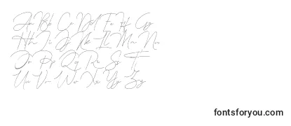Обзор шрифта Queenstown Signature