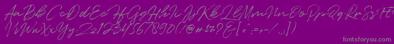 Quentin-Schriftart – Graue Schriften auf violettem Hintergrund
