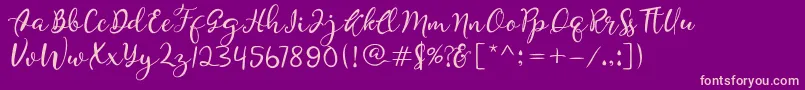 Quiche Font – Pink Fonts on Purple Background