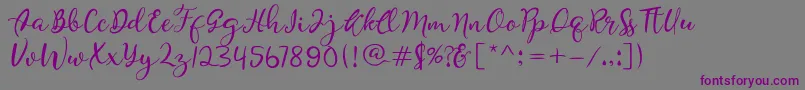 Quiche Font – Purple Fonts on Gray Background