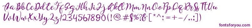 Quiche Font – Purple Fonts on White Background