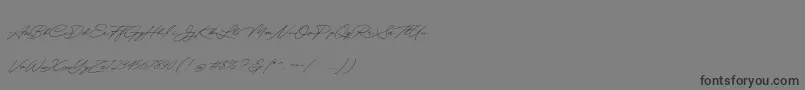 Quick Signature Personal Use-Schriftart – Schwarze Schriften auf grauem Hintergrund