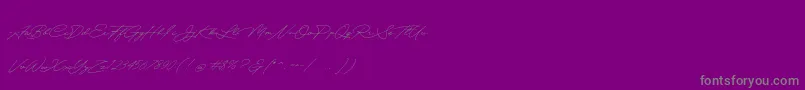 Quick Signature Personal Use-Schriftart – Graue Schriften auf violettem Hintergrund