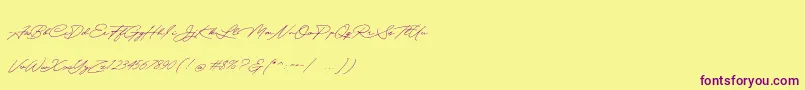 Quick Signature Personal Use-Schriftart – Violette Schriften auf gelbem Hintergrund