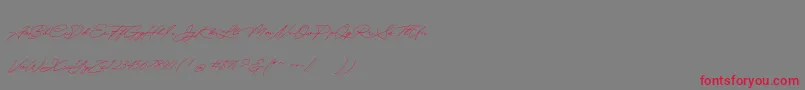 Quick Signature Personal Use Font – Red Fonts on Gray Background