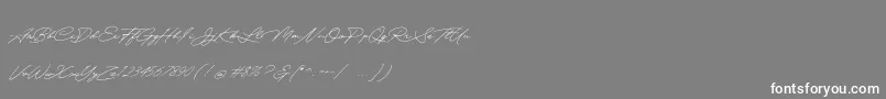 Quick Signature Personal Use-Schriftart – Weiße Schriften auf grauem Hintergrund