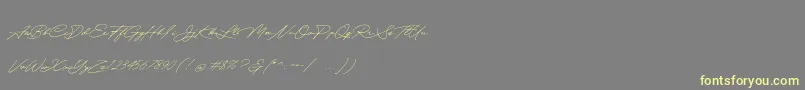 Quick Signature Personal Use-Schriftart – Gelbe Schriften auf grauem Hintergrund