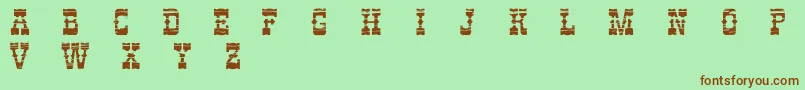 PerdidoDemo Font – Brown Fonts on Green Background