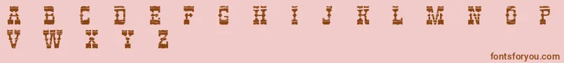 PerdidoDemo Font – Brown Fonts on Pink Background