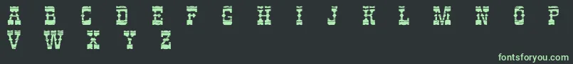 PerdidoDemo Font – Green Fonts on Black Background