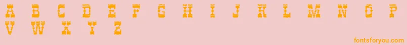PerdidoDemo Font – Orange Fonts on Pink Background